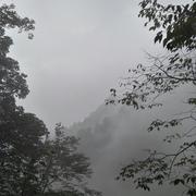 吃云吐雾的个人资料头像