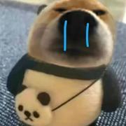 lemonDing的个人资料头像