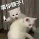 用户7363360001212 · 锋兰达车主·车龄2年头像