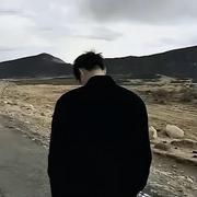 长风98的个人资料头像