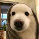 福就是我的个人资料头像