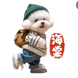 雅筑头像