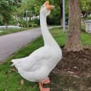 M爱学习101444的个人资料头像