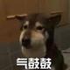 命里她头像