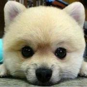 王建新199003的个人资料头像