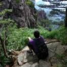 杨木易的个人资料头像