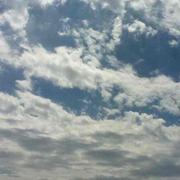 陈小平的个人资料头像