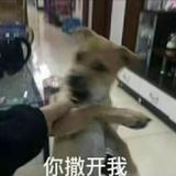 起名真费劲头像