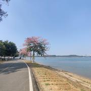 ken9527just的个人资料头像