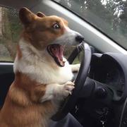 odd593的个人资料头像