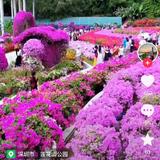 快乐远山riz头像