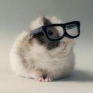 奇迹之光临的个人资料头像