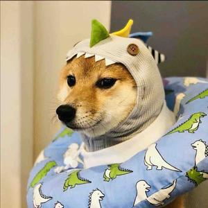圆梦新一头像