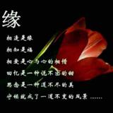王彦胜517头像
