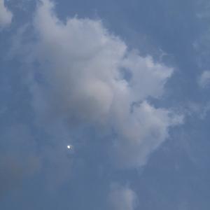 仰望星空的阿呆头像