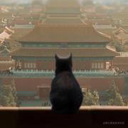 Nite的个人资料头像