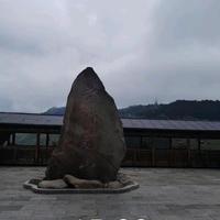 农村负全责头像