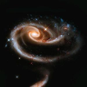 浩若星辰头像