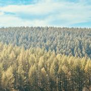 用户3800794218540的个人资料头像