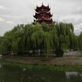 龙千明18169458994181462头像