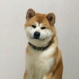 eeebe头像