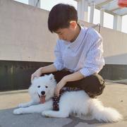 A前端孙阳的个人资料头像