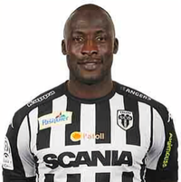 王顶堤猛虎头像