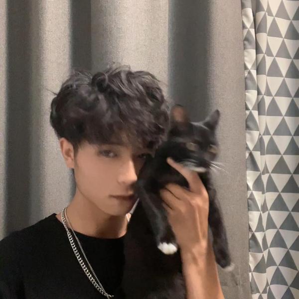 00年小薛的贴膜日常头像