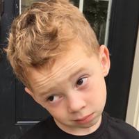 吃着瓜抬着杠头像