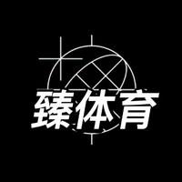 臻体育头像