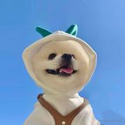 mitaYou的个人资料头像