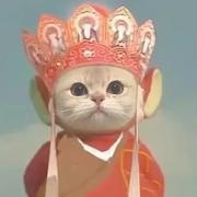 sfqx的个人资料头像