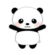 codepanda的个人资料头像