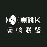 K哥玩音响头像