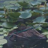 张培森678头像