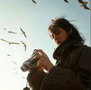 半频信号的个人资料头像