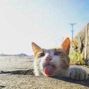 佐七的个人资料头像