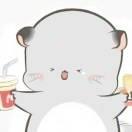 斗酱的个人资料头像