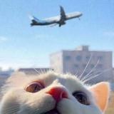 zzz4265头像