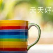 Xiang的个人资料头像