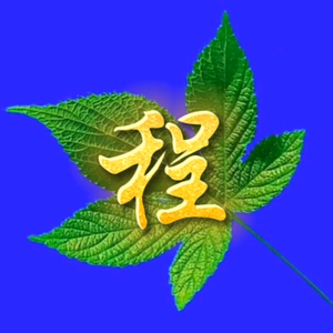 程程短剧头像