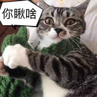 木桐s头像