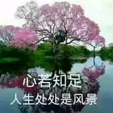 王亮福248头像