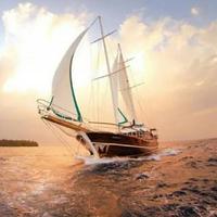 刚好遇见你13788头像