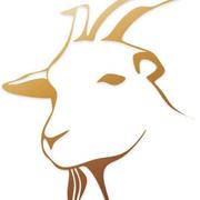 WGthis的个人资料头像