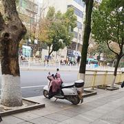 前端1的个人资料头像