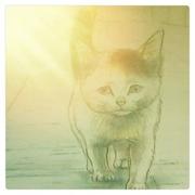 十一321的个人资料头像