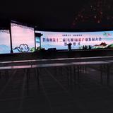 九月九的酒625头像