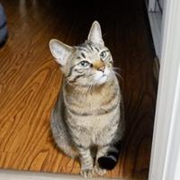 安全出行比啥都强头像