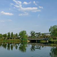 好名都被驴占了头像